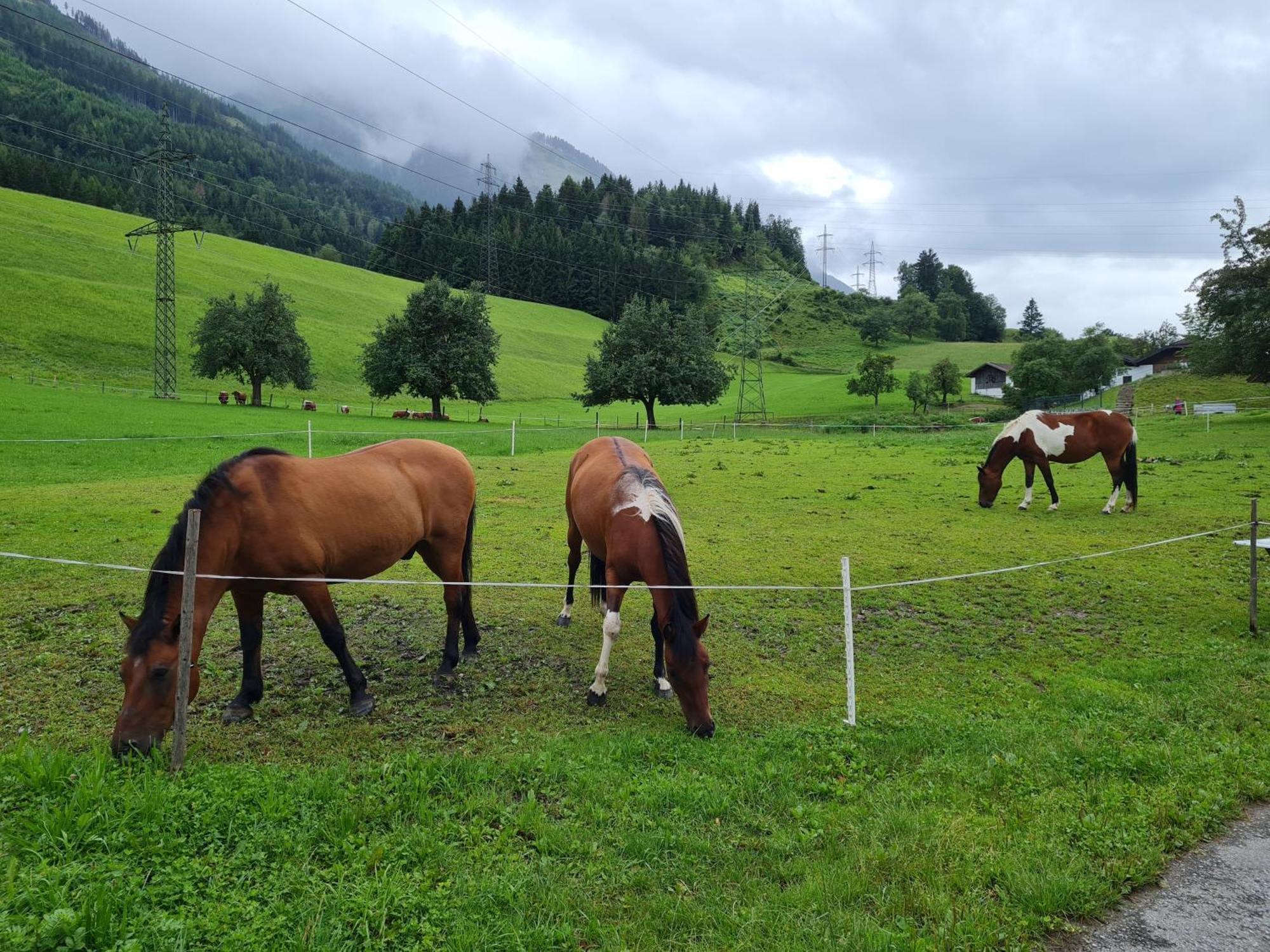 Ferienparadies Taxen Sankt Veit im Pongau Exterior foto