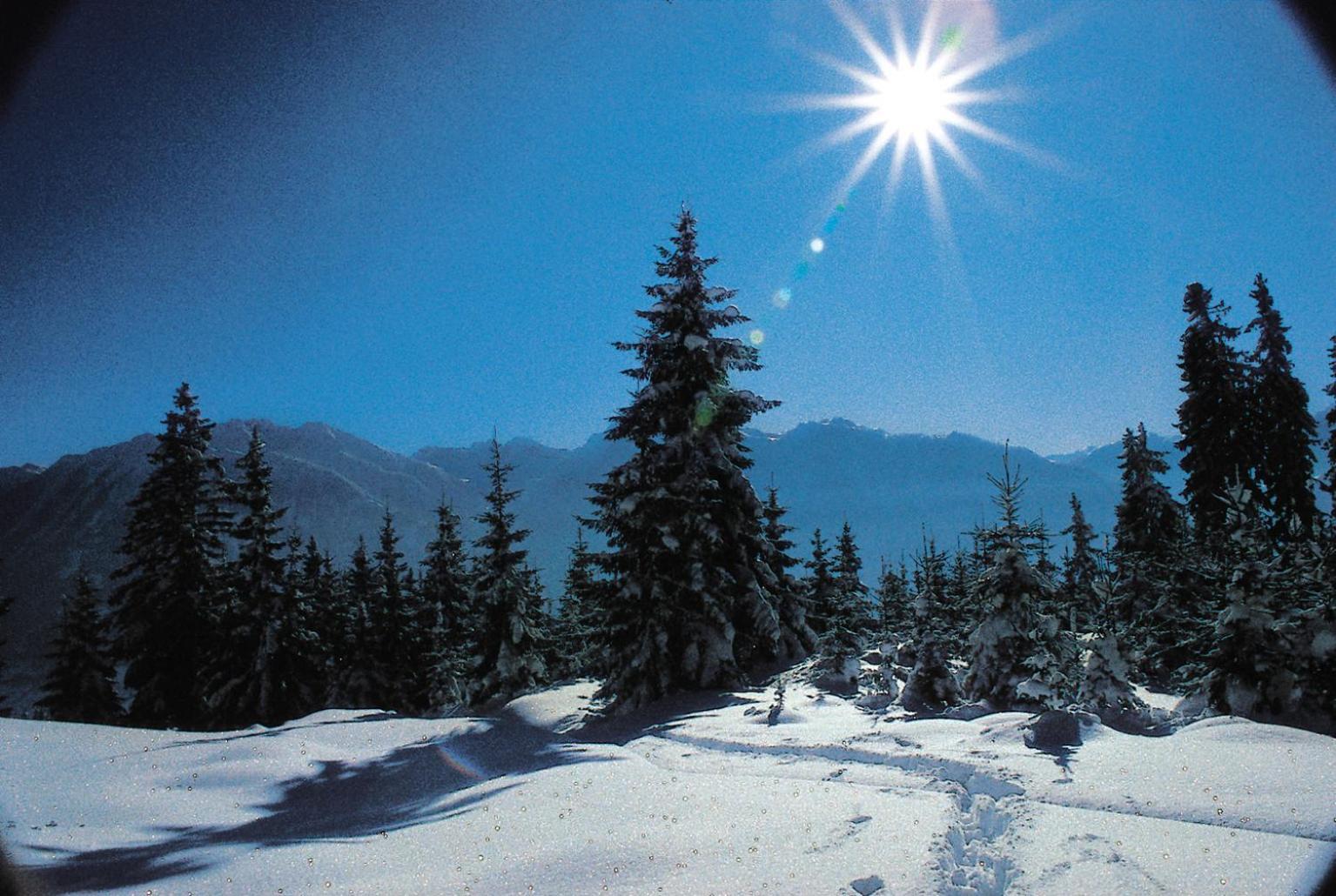 Ferienparadies Taxen Sankt Veit im Pongau Exterior foto